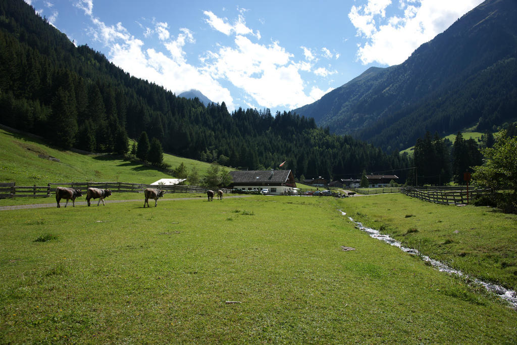 Doadlerhof Villa Neustift im Stubaital Exteriör bild