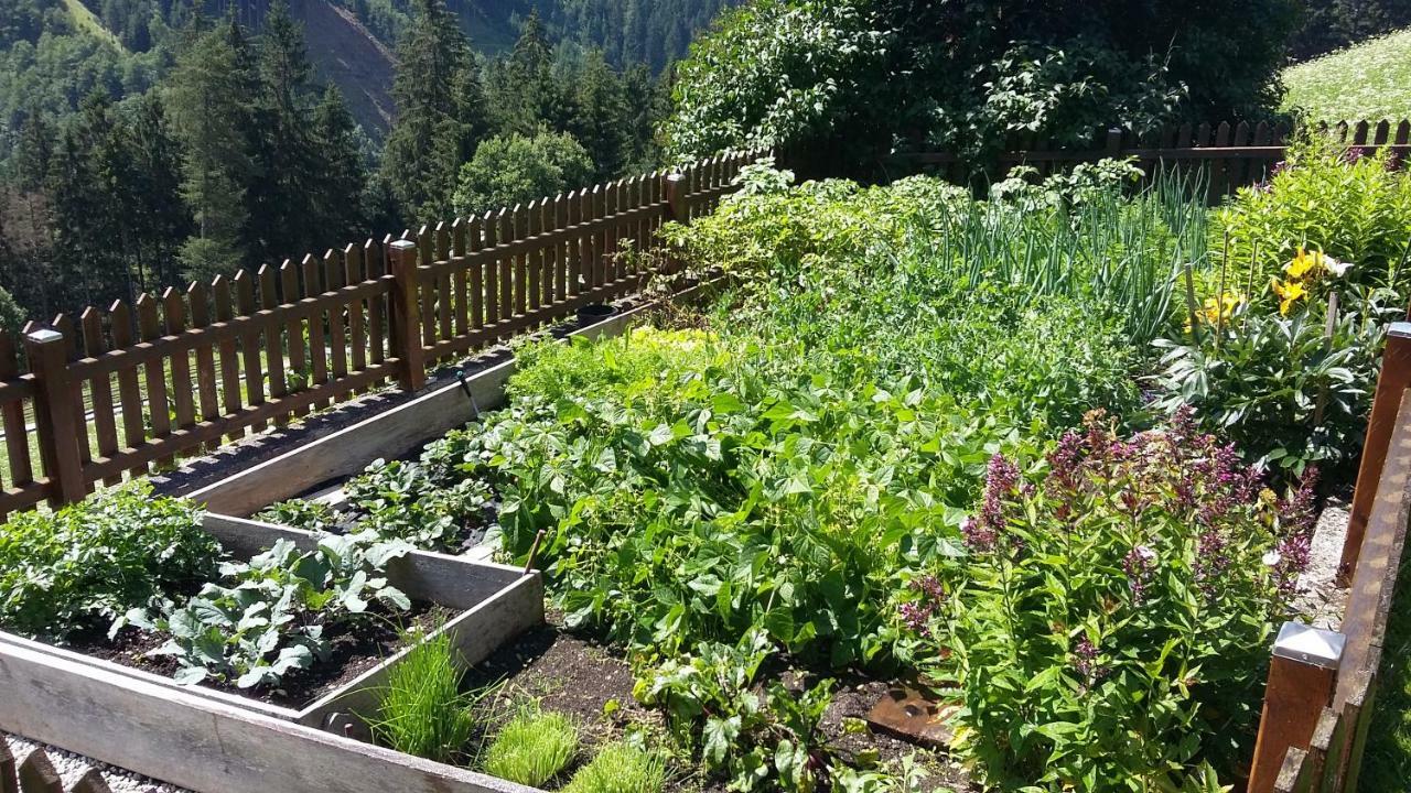 Doadlerhof Villa Neustift im Stubaital Exteriör bild